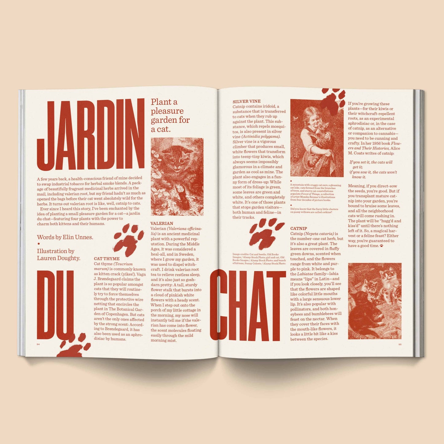 Catnip Magazine
