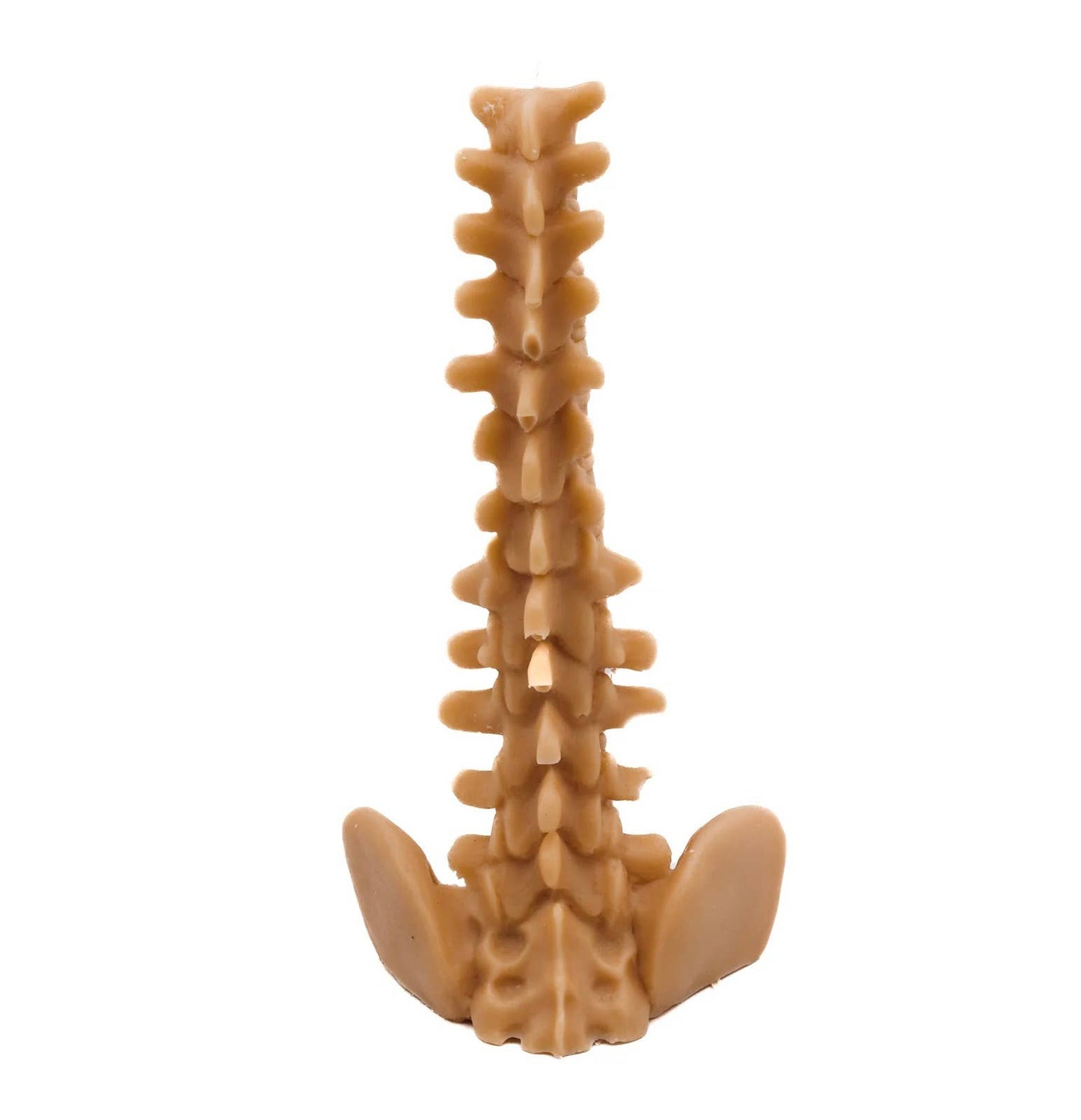 Spine Candle