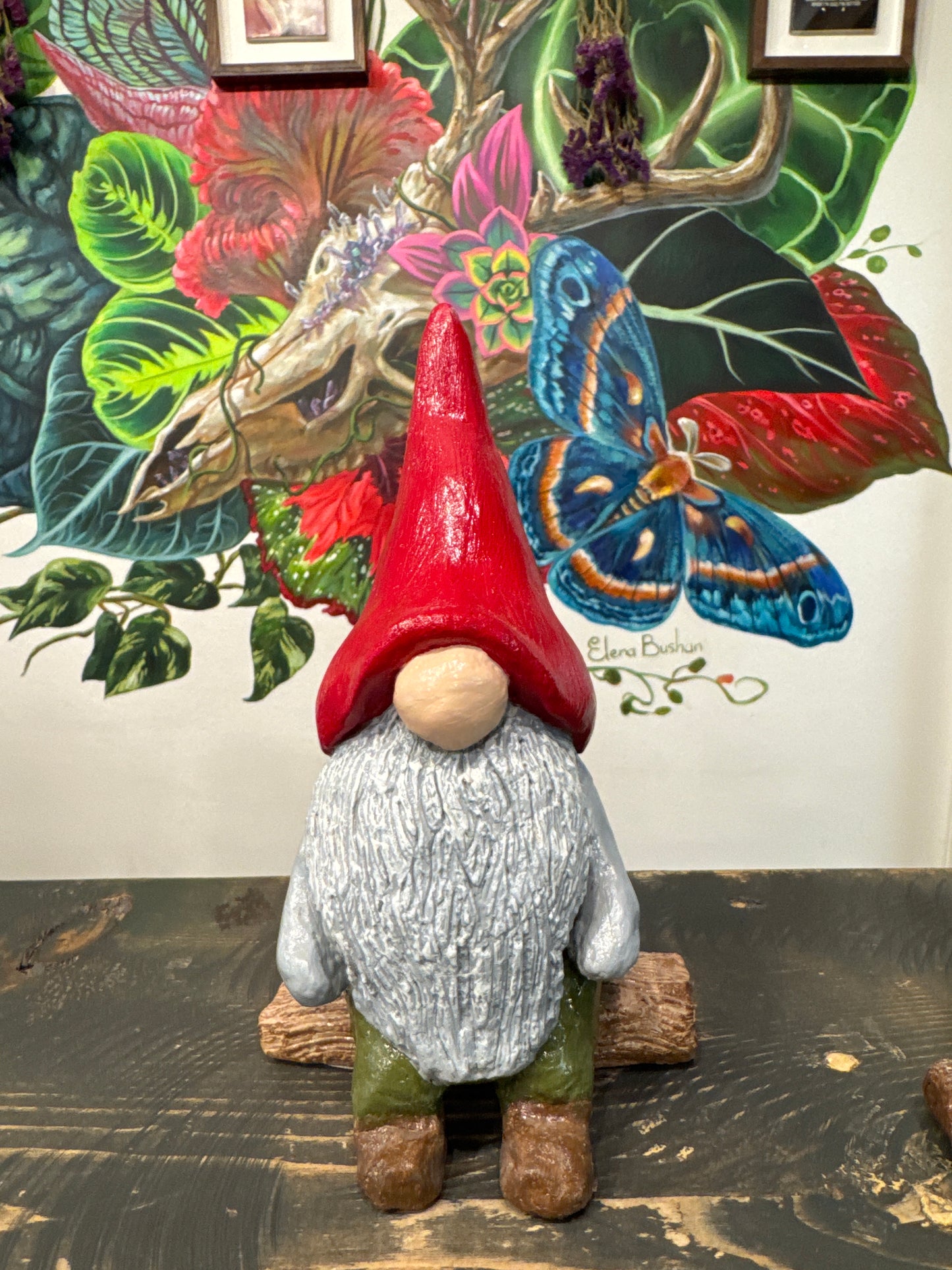 Gnome And Garden