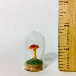 Mushroom Curio Real Fungi 1.75"