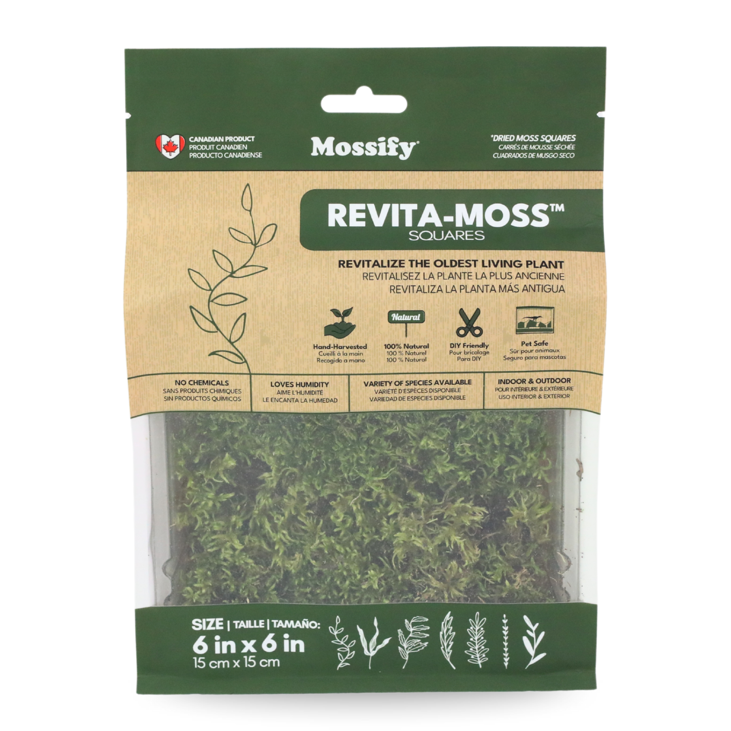 Mossify Mood Moss Live