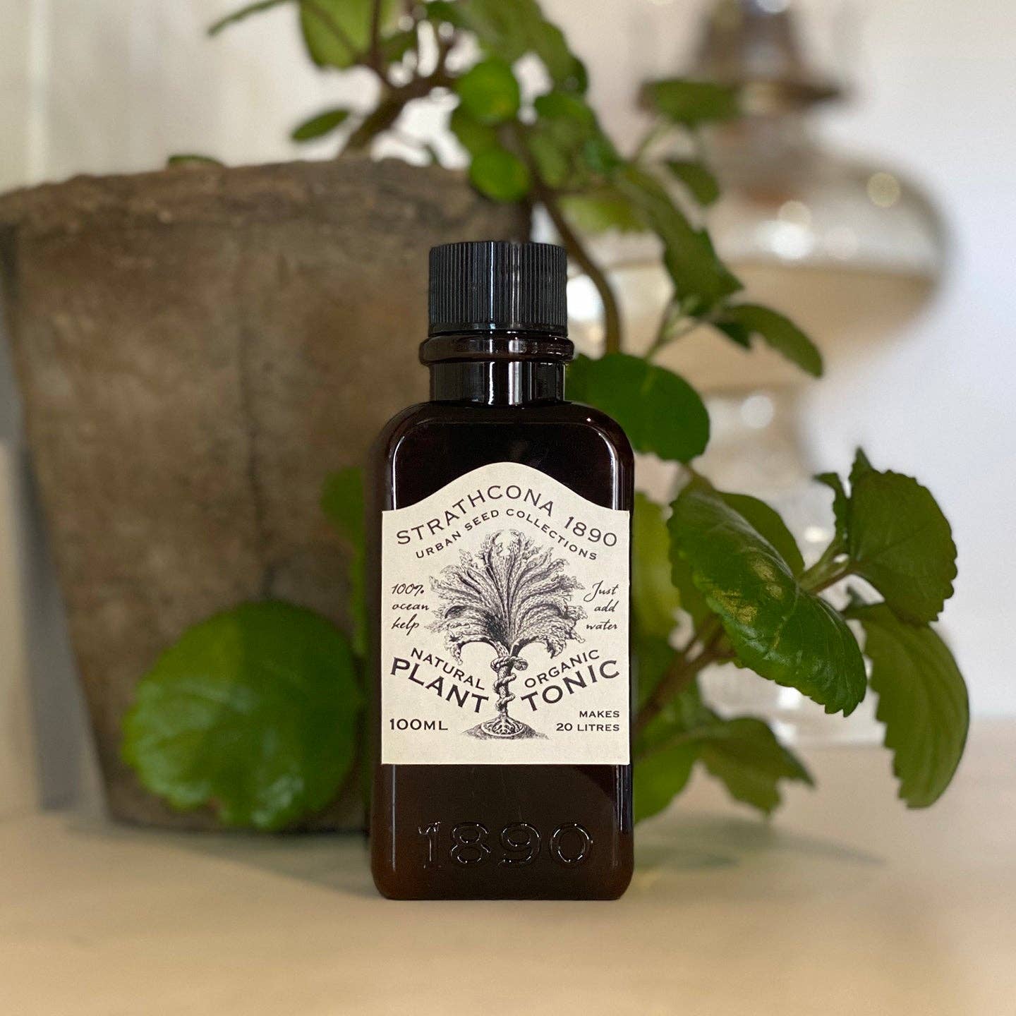 Plant Tonic 100ml
