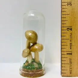 Mushroom Curio Real Fungi 2.75"