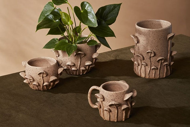 Mushroom Forest Collection
