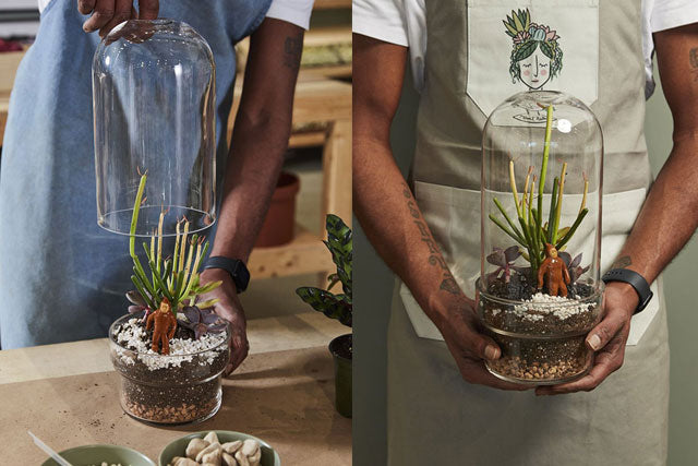 Terrarium Vessels | Griffith