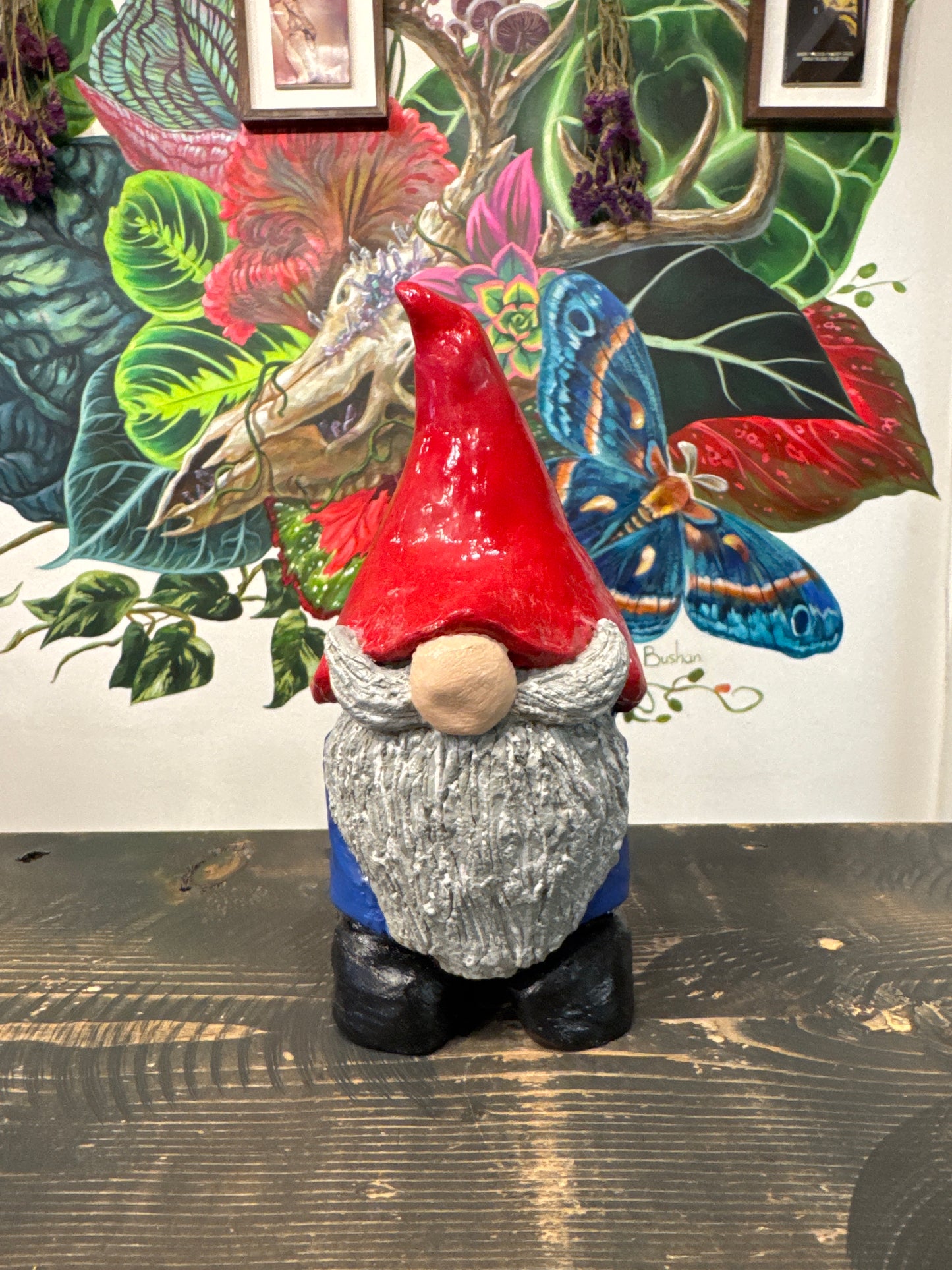 Gnome And Garden