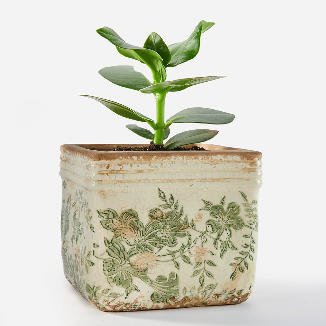 Vintage Green Flowers Square Pot