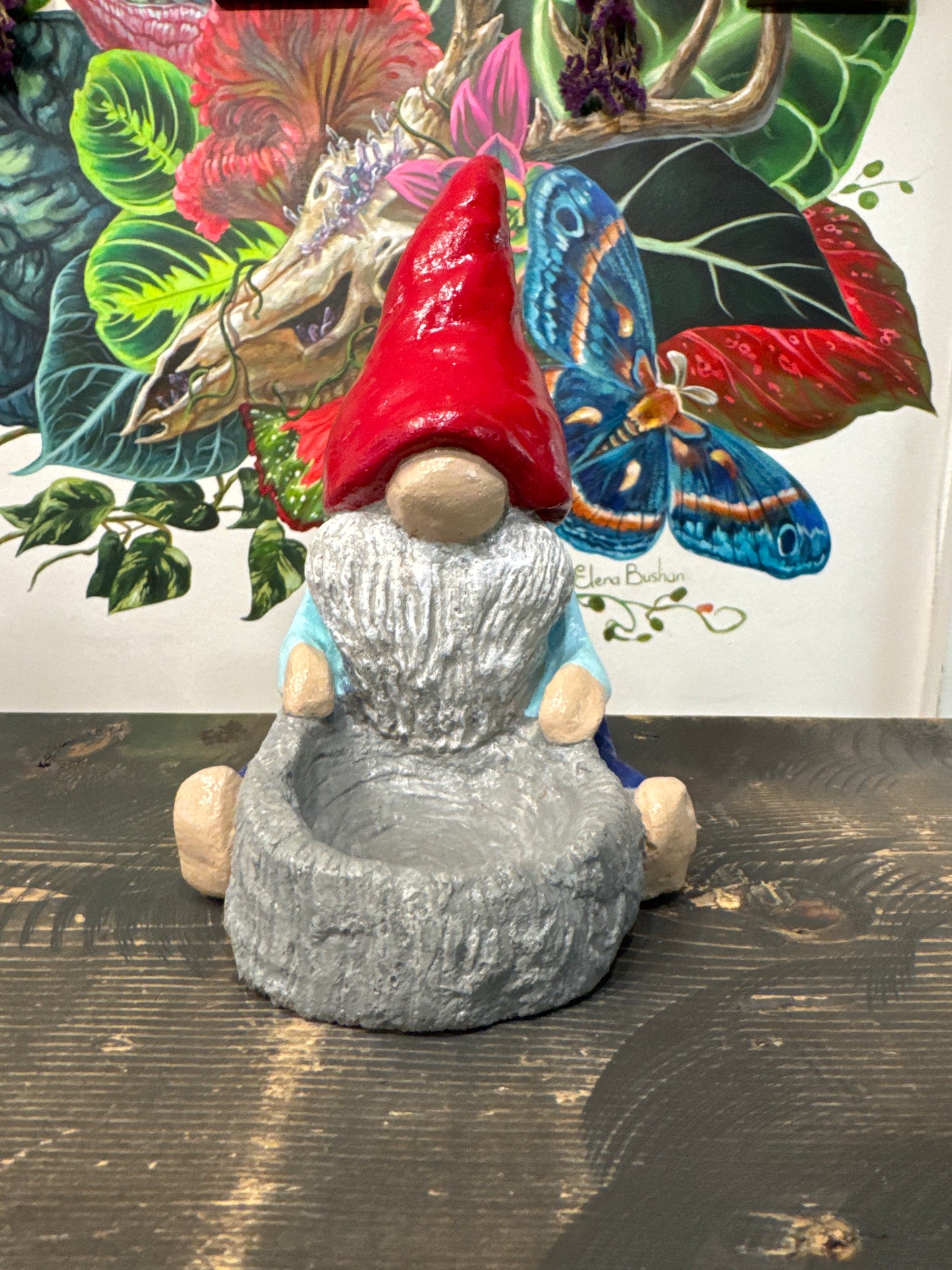 Gnome And Garden