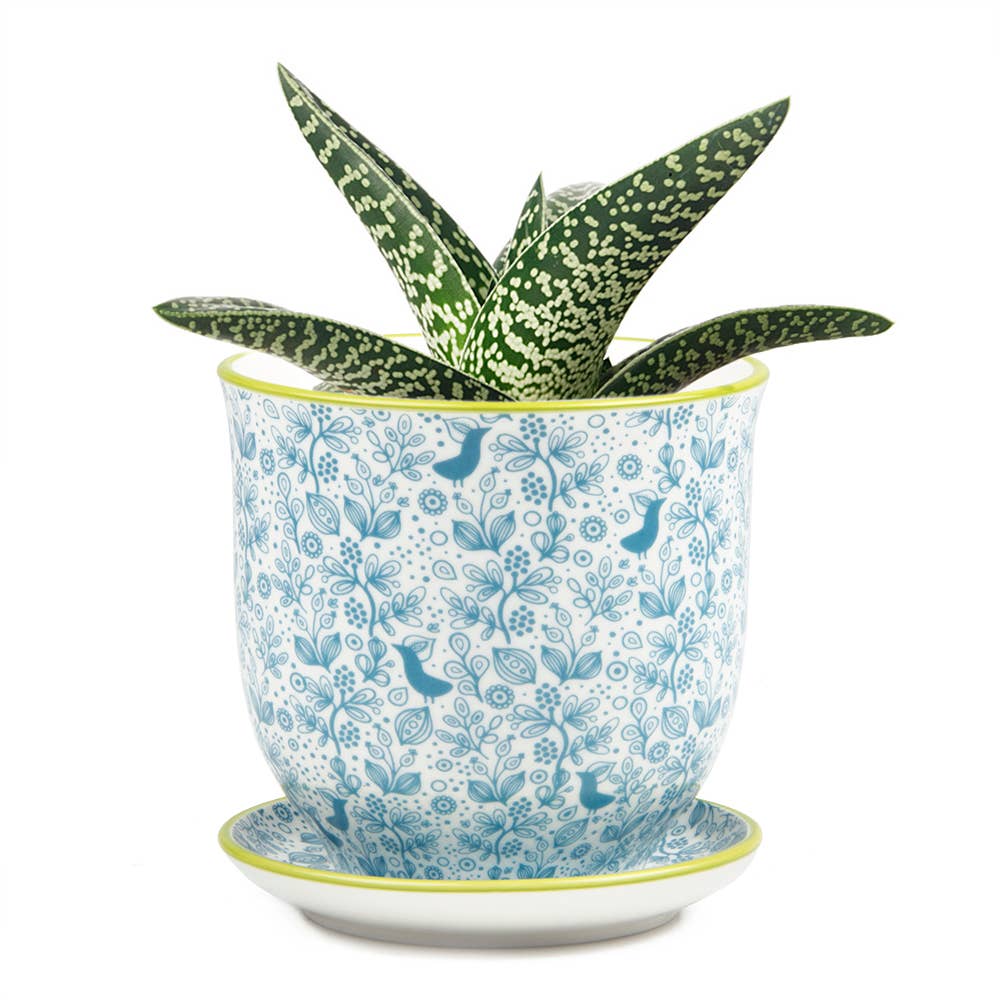 Teacup Liberte Planter & Saucer