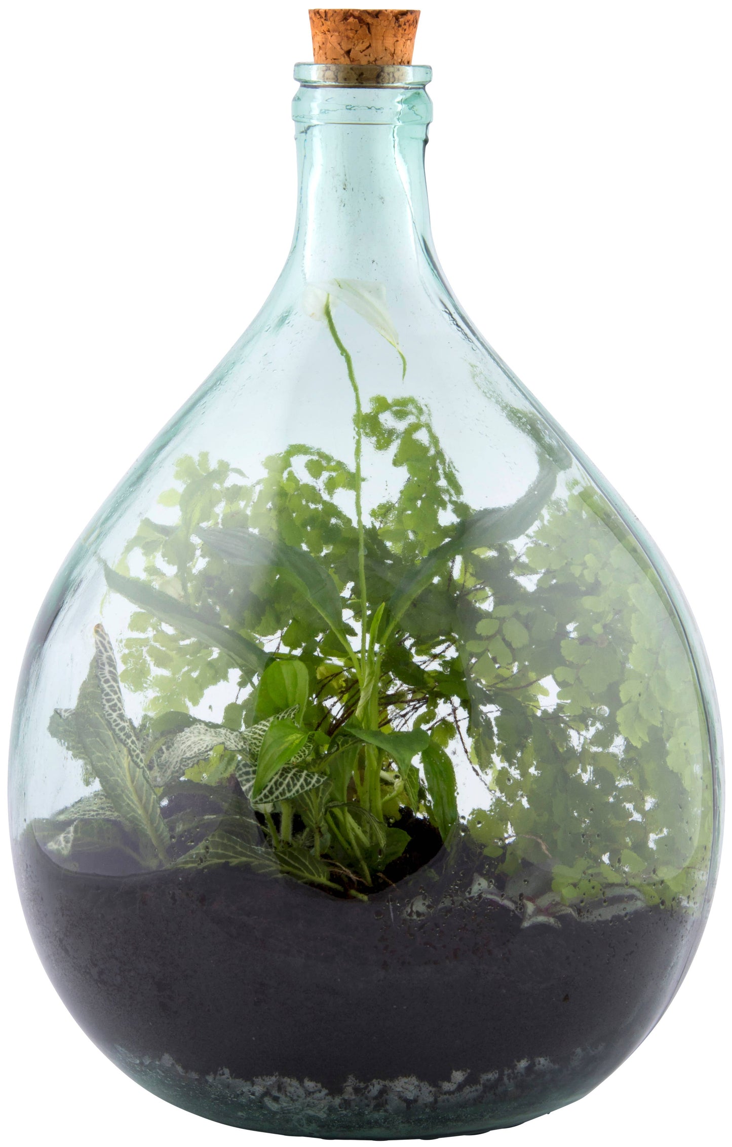 Terrarium Bottle and Tools