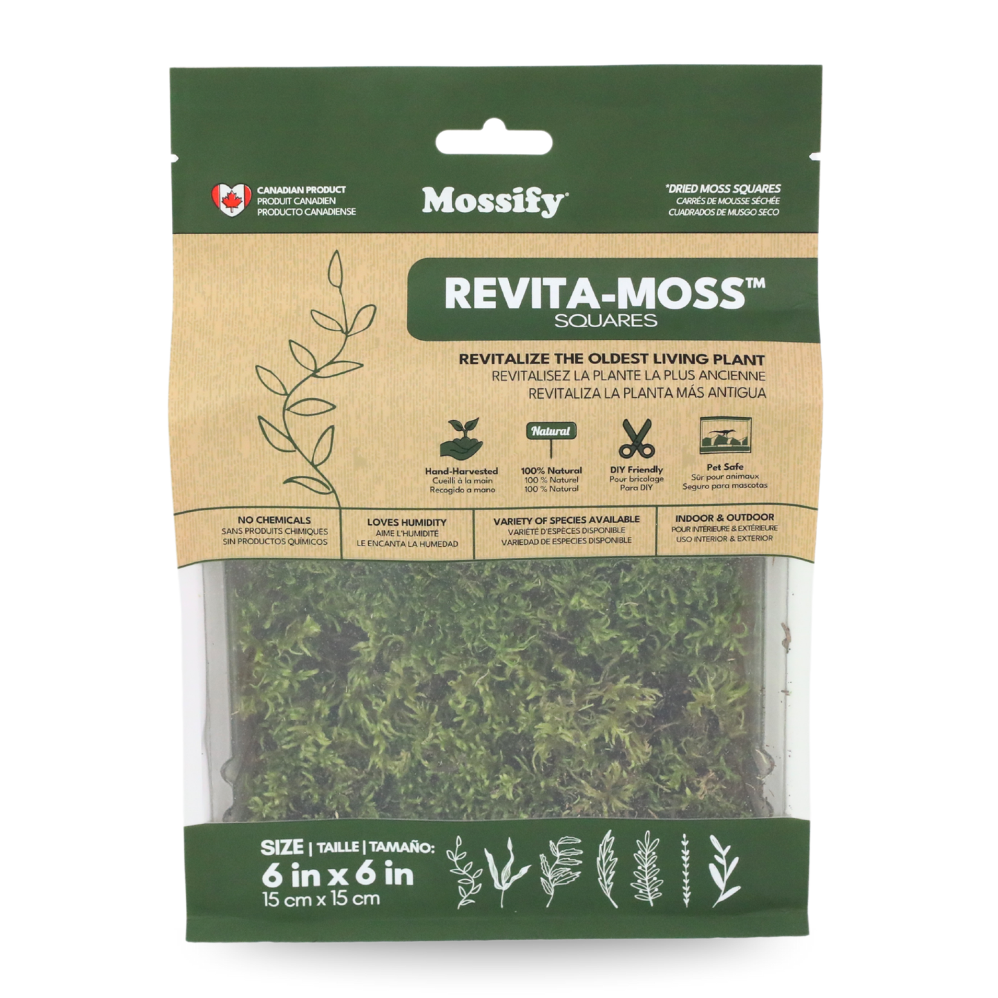 Mossify Forest Moss Live