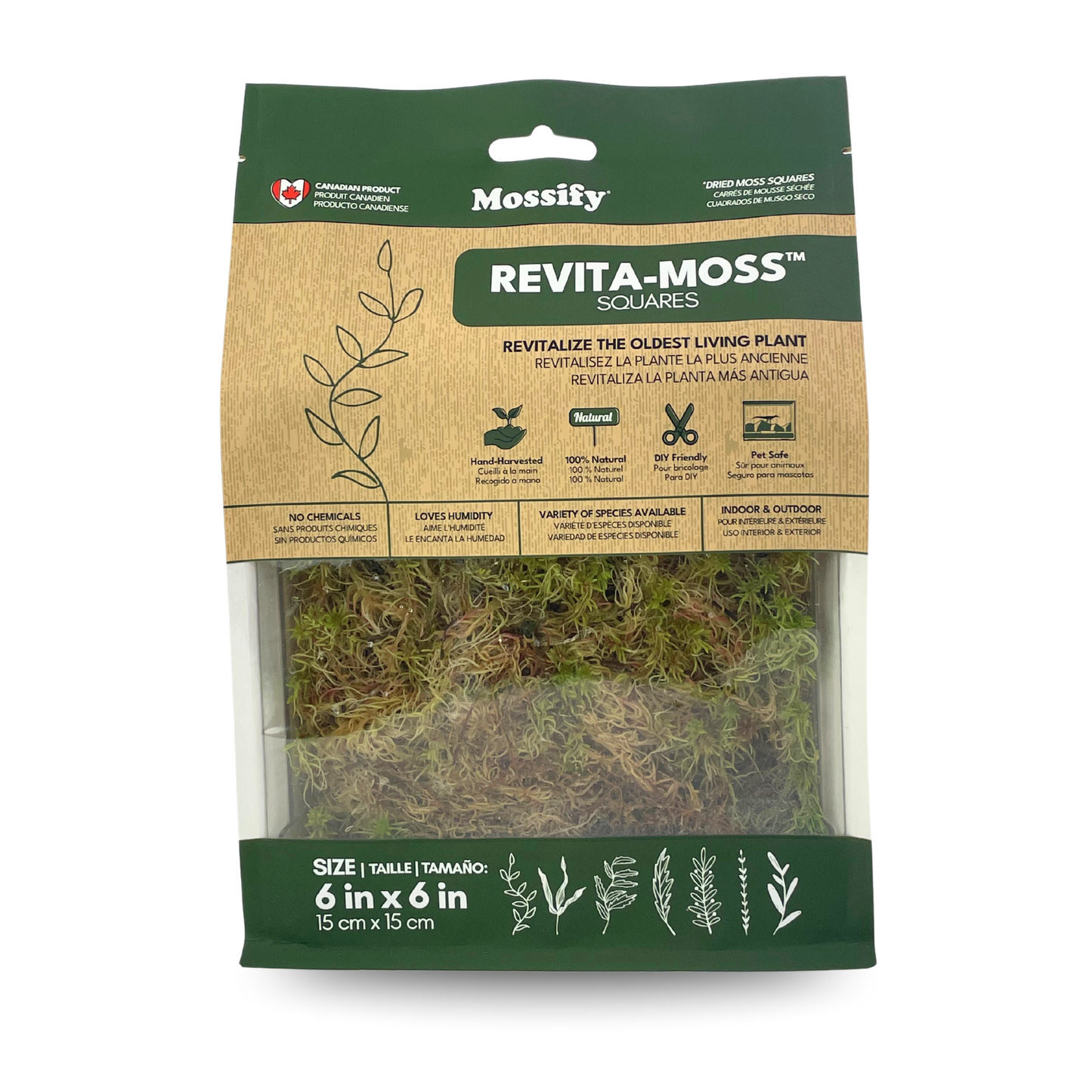 Mossify Sphagnum Moss Live
