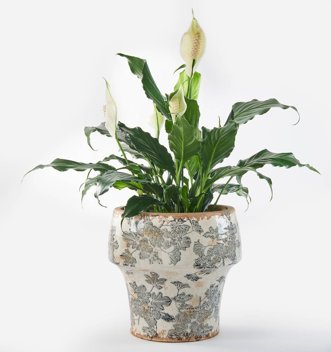 Vintage Mushroom Blue Flowers Pot