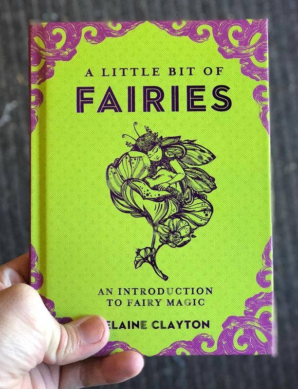 Little Bit of Fairies: Introduction to Fairy Magic