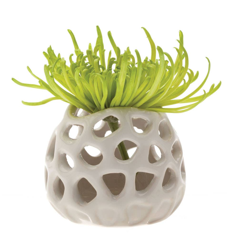 Gideon Air Plant Holder
