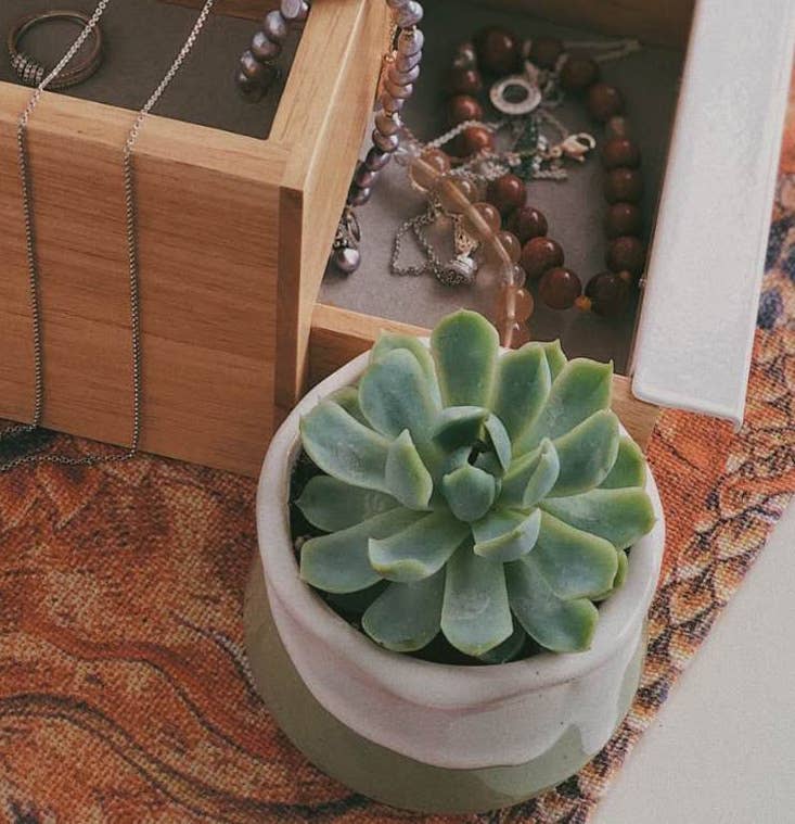 Ceramic Drip Milky Green Lotus