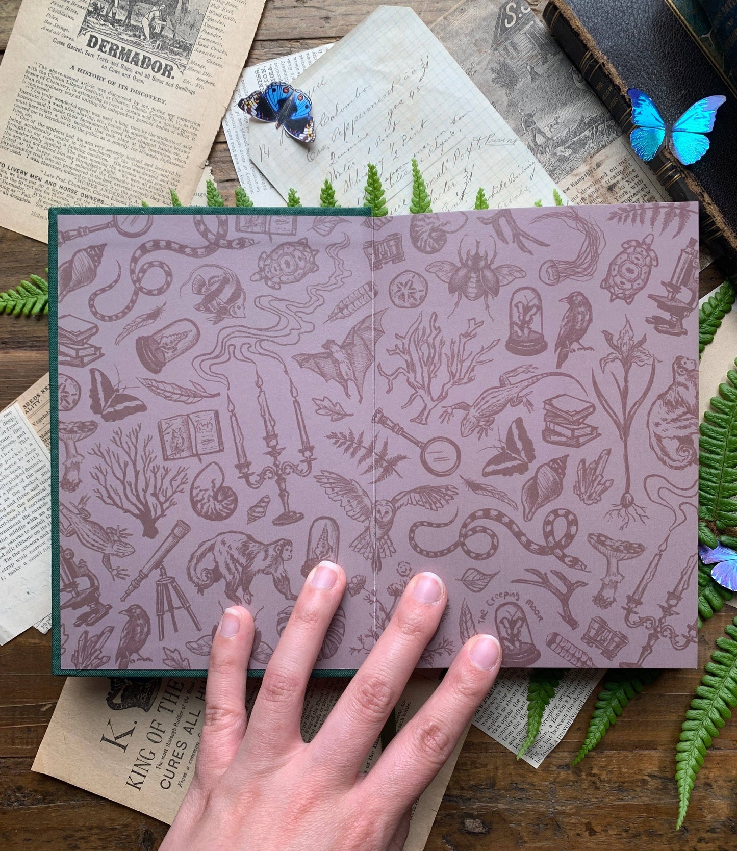 The Botanist Watercolour Sketchbook
