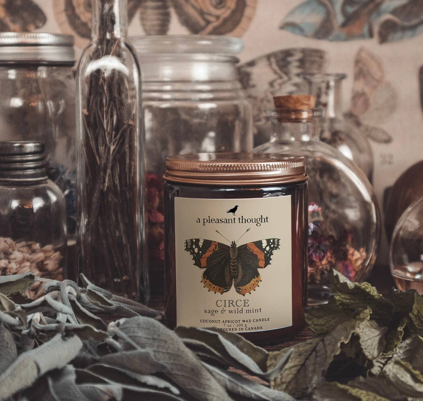 CIRCE | Sage & Wild Mint