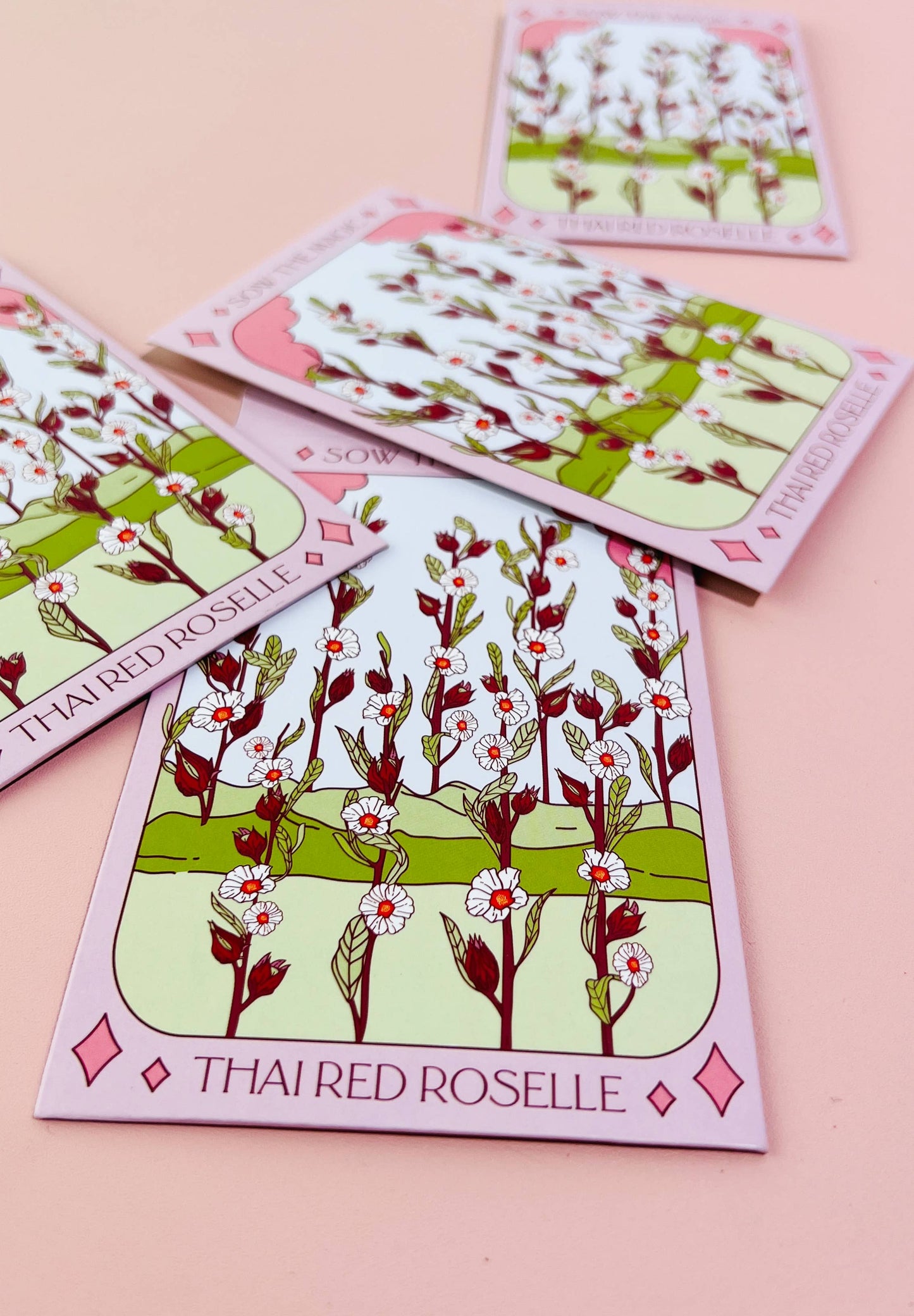 Tarot Card Seeds | Thai Red Roselle Hibiscus