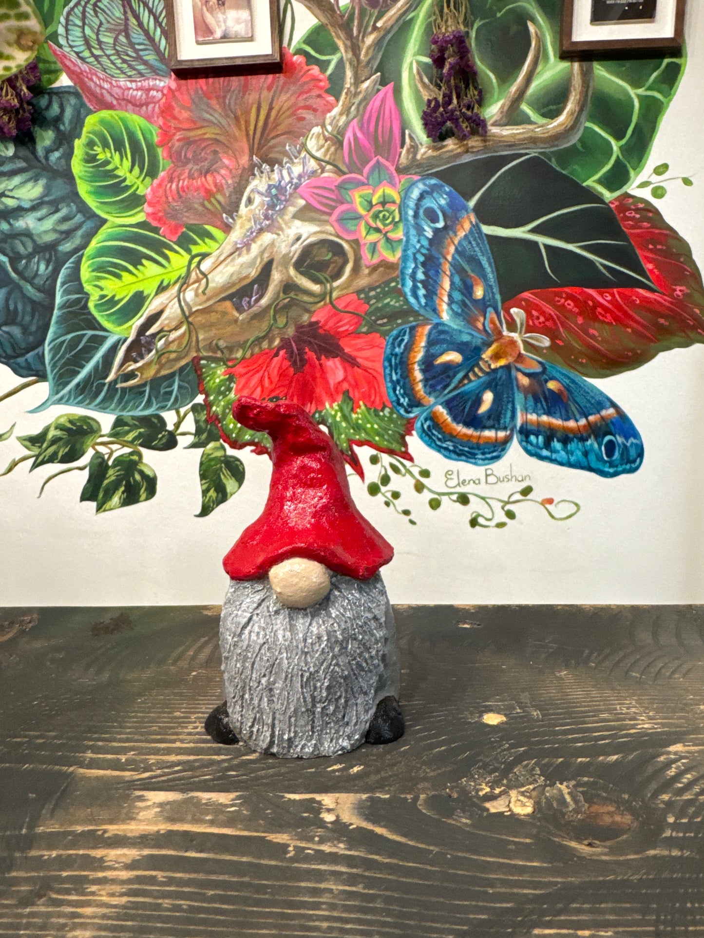 Gnome And Garden