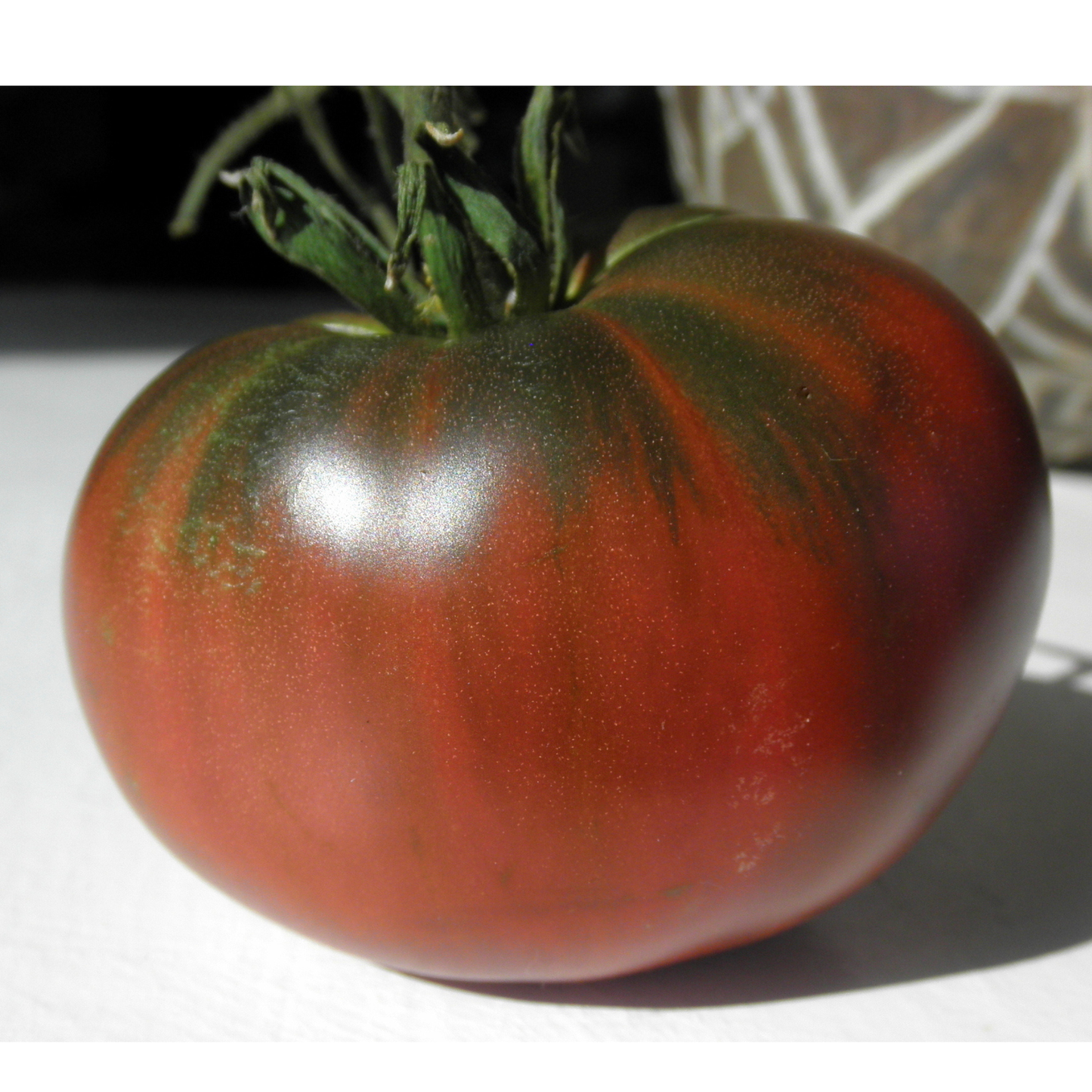 Tarot Card Seeds | Paul Robeson Tomato