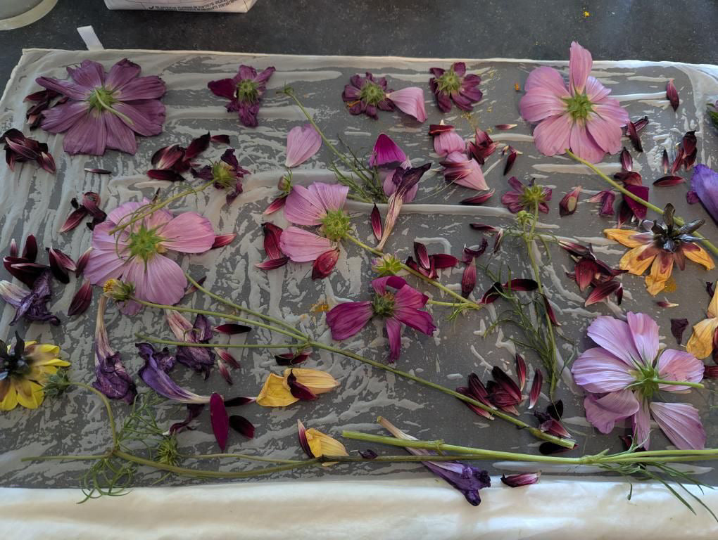Floral Dyeing, Printing and Bouquet Making Sept 7 | Workshop