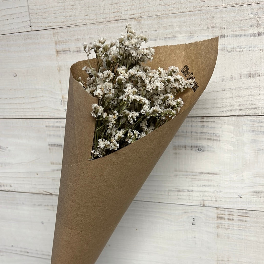 Dried Limoneum