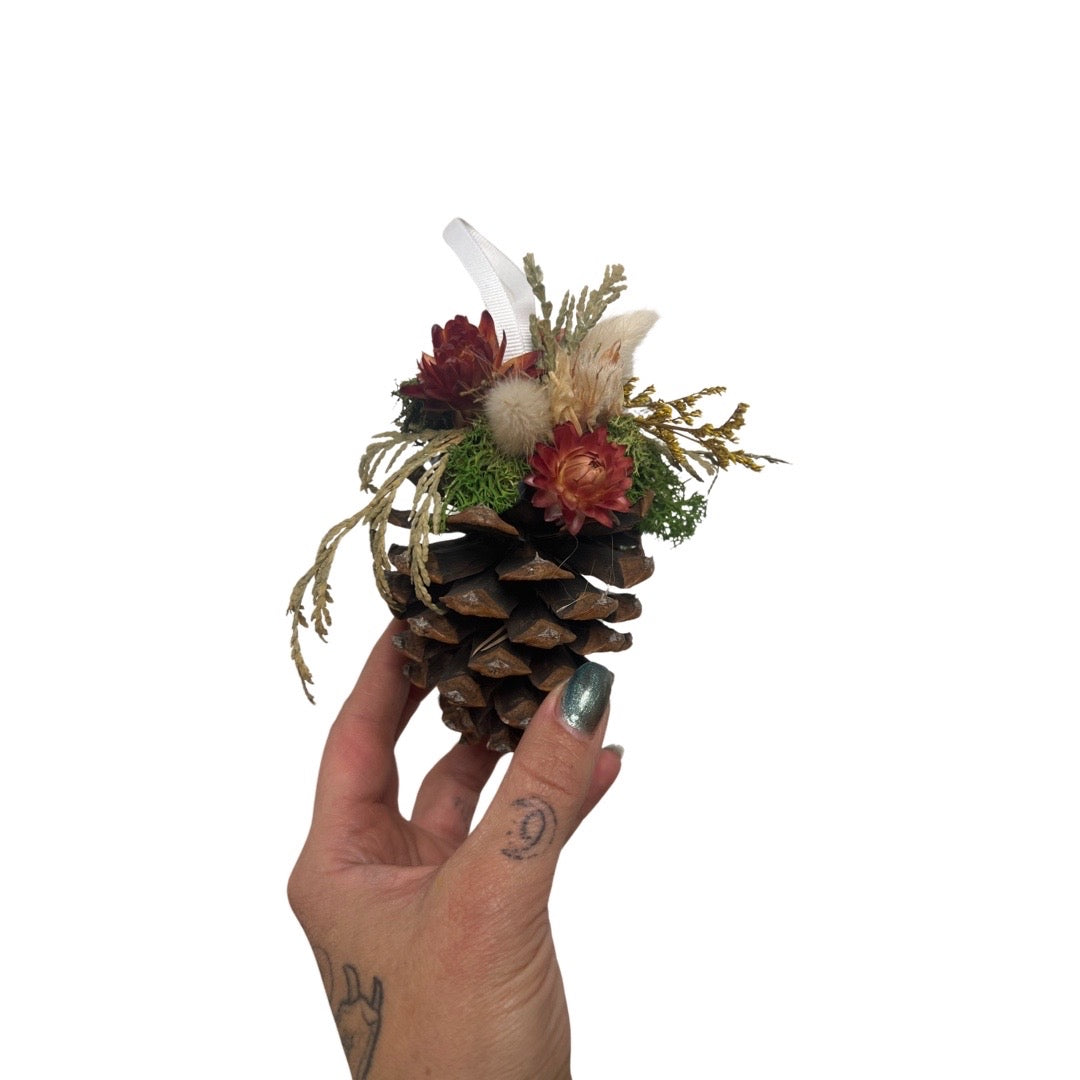 Forest Fairy Pinecones