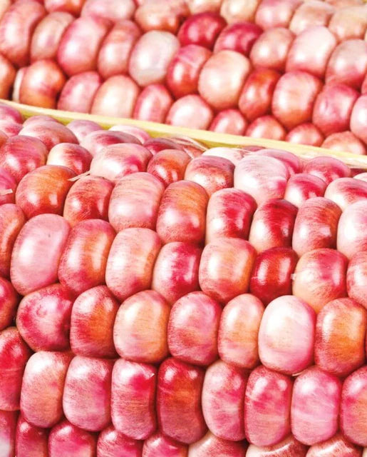 Seeds | Corn Pink Popcorn