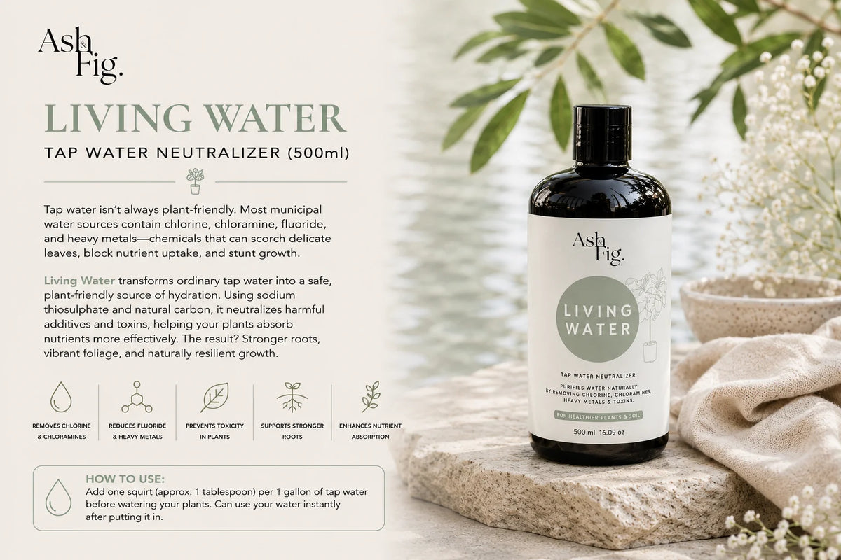 Living Water