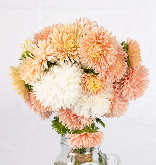 Seeds | Aster The Roses