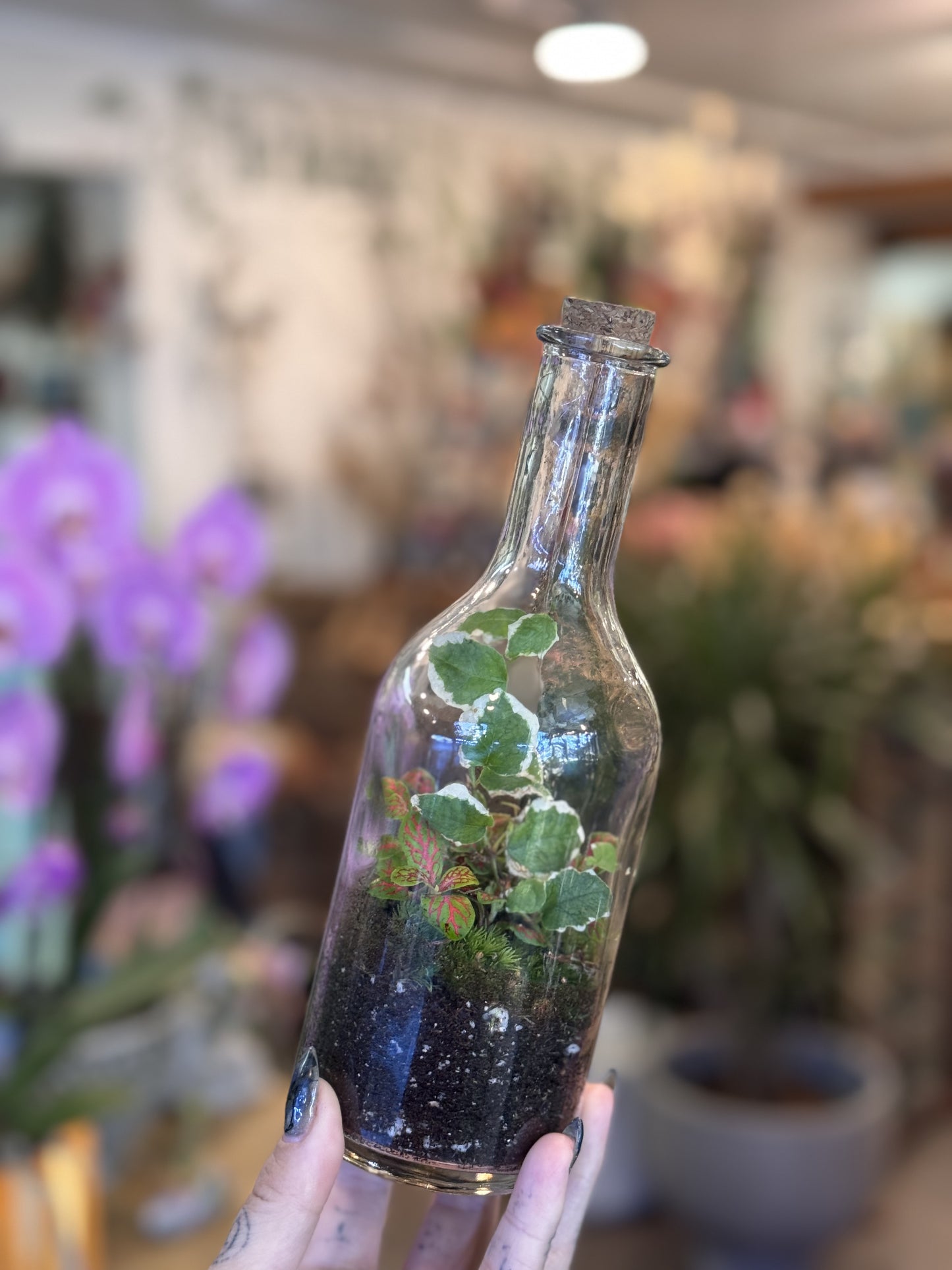 Terrarium “Planties in a Bottle”