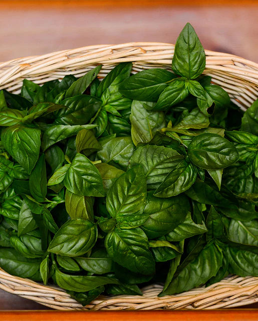 Seeds | Basil Nufar Certified Organic