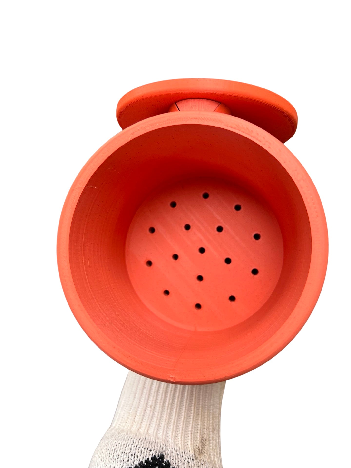 Poppy Wall Planter 4.5" | 3D Planter