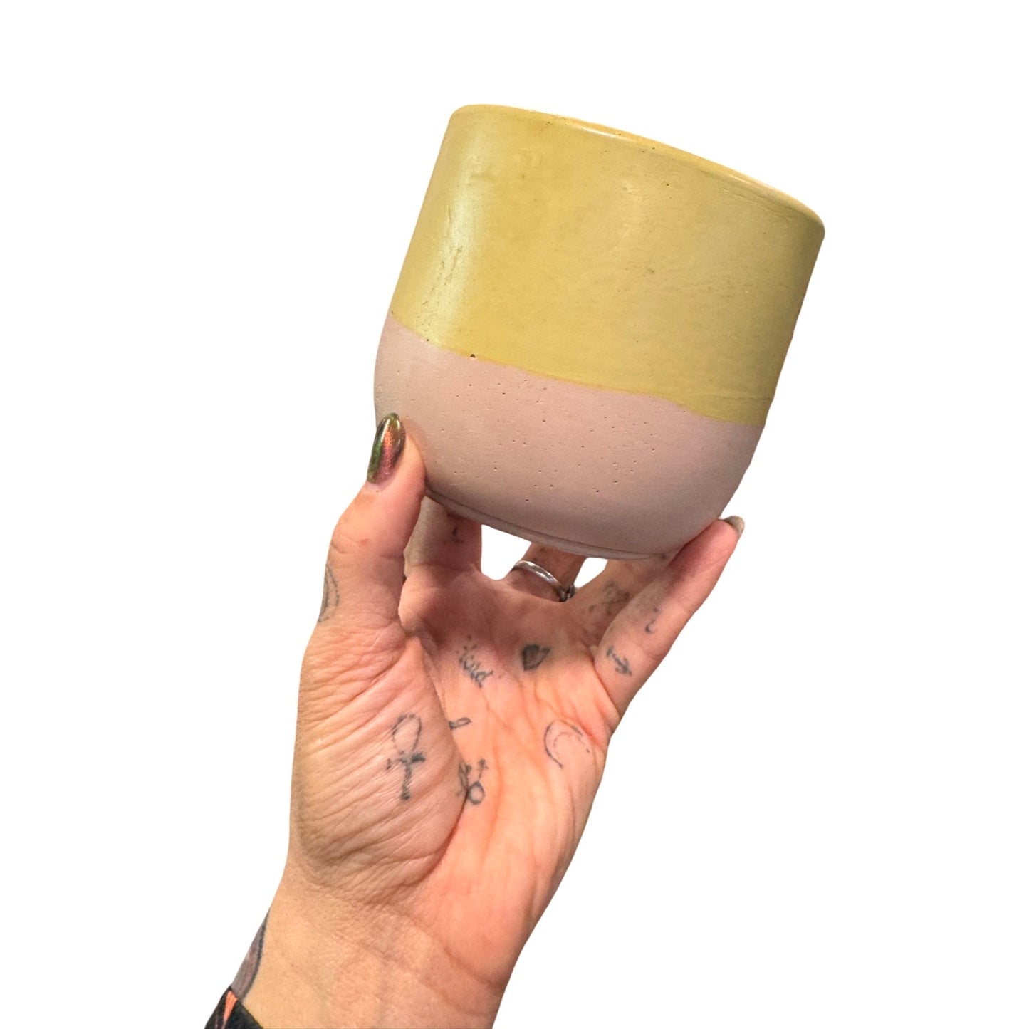 Chartreuse + Blush Tulip Planter 4”