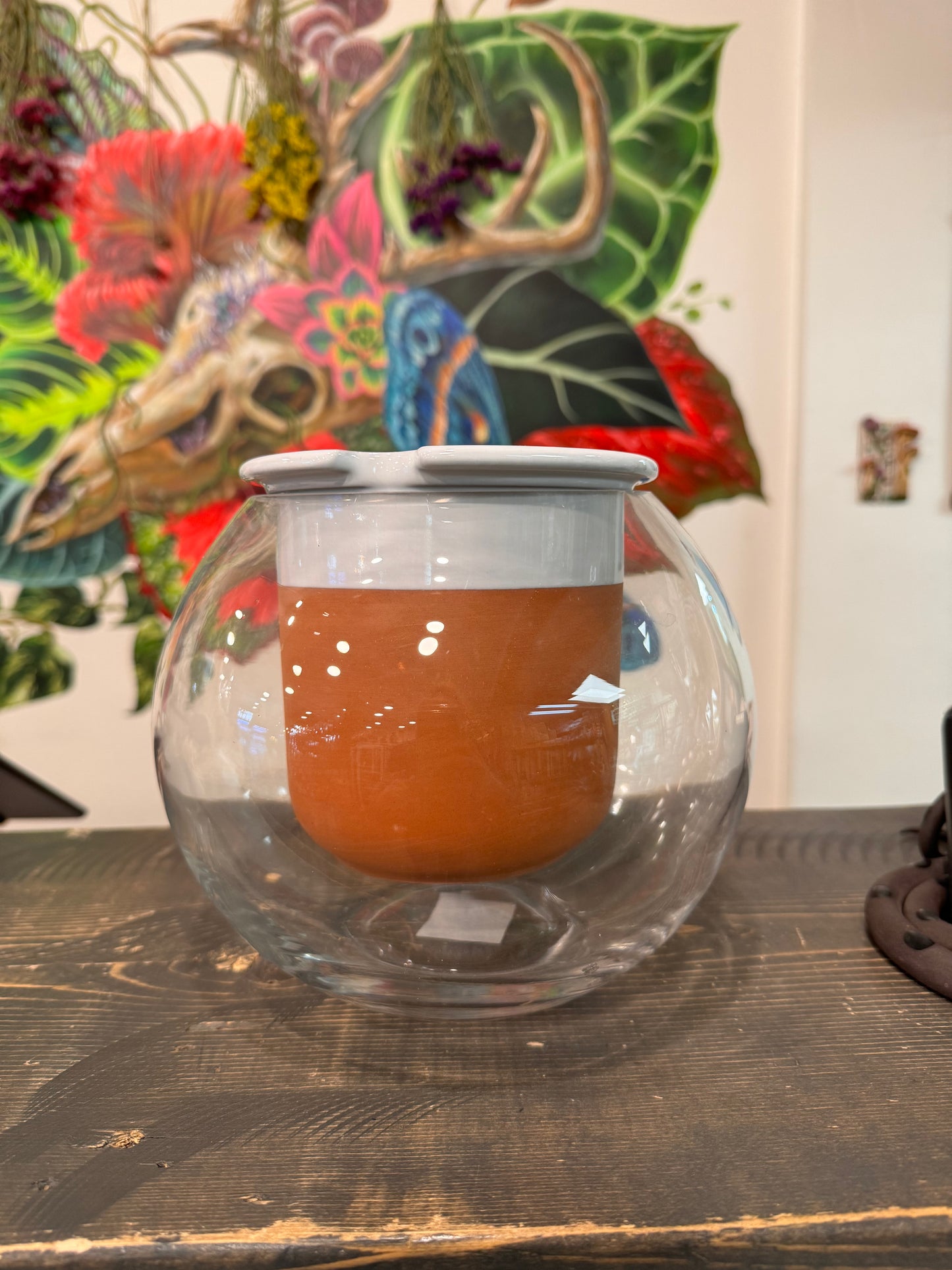 Davies Terracotta / Glass  Self Watering Planter