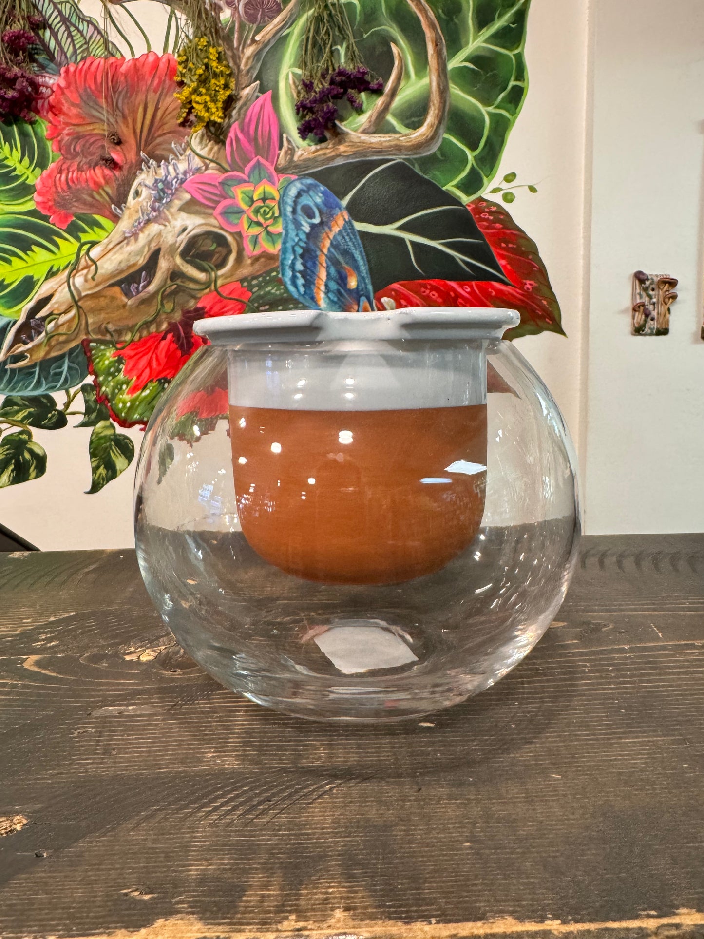 Davies Terracotta / Glass  Self Watering Planter