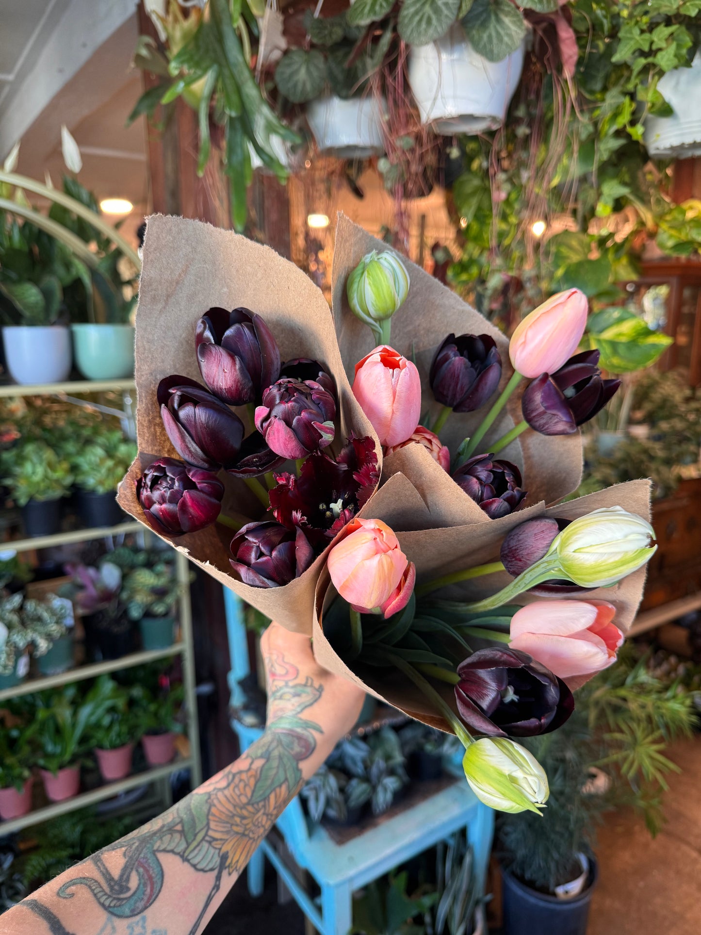 Local Tulips