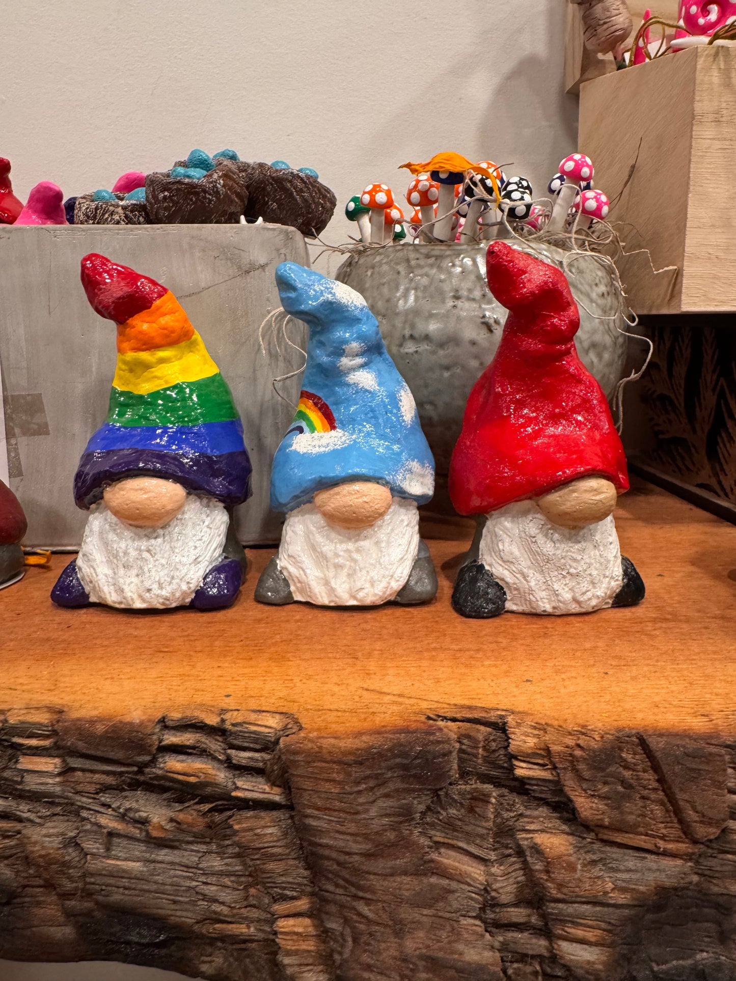 Gnome And Garden