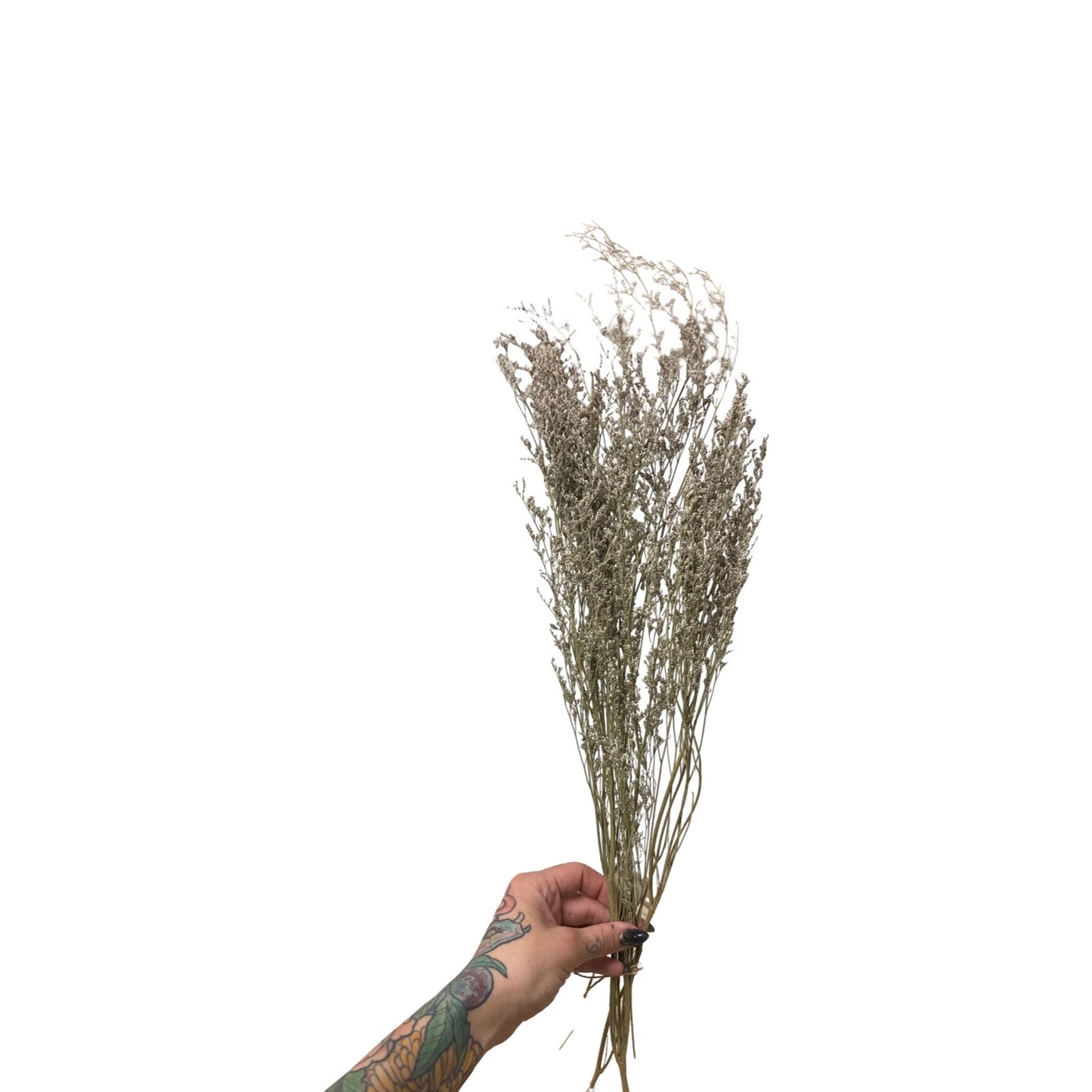 Dried Limonium Misty Blue