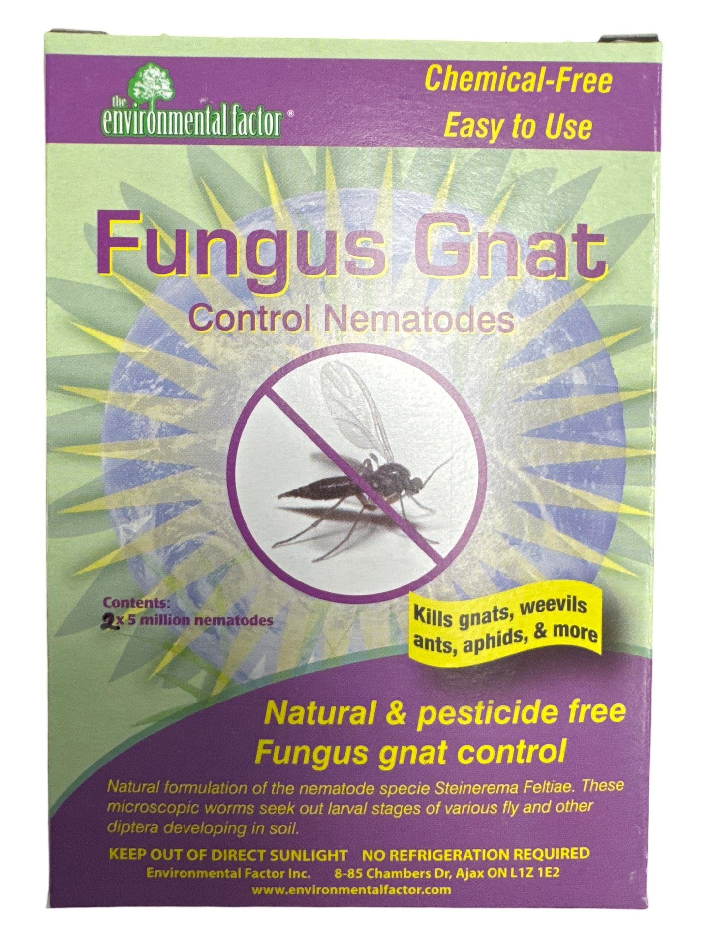 Nematodes | Fungas gnats