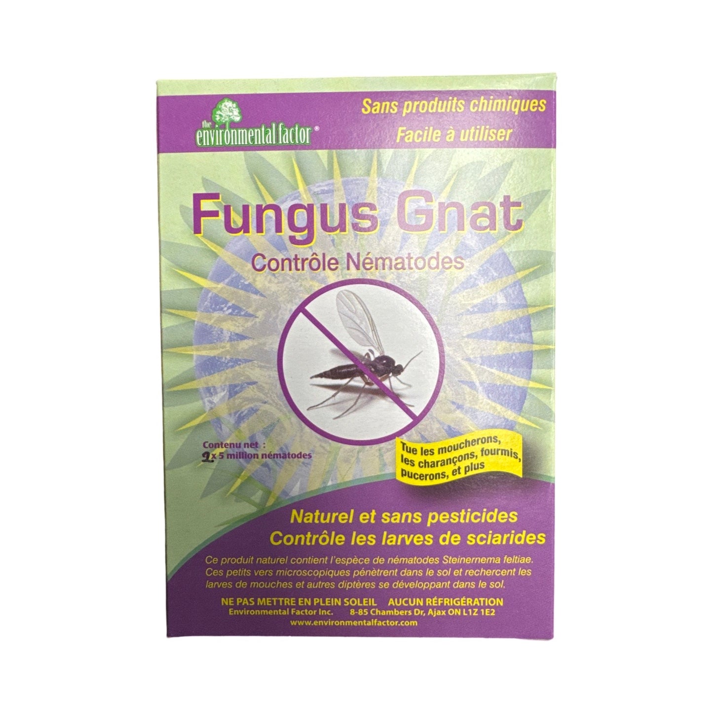 Nematodes | Fungas gnats