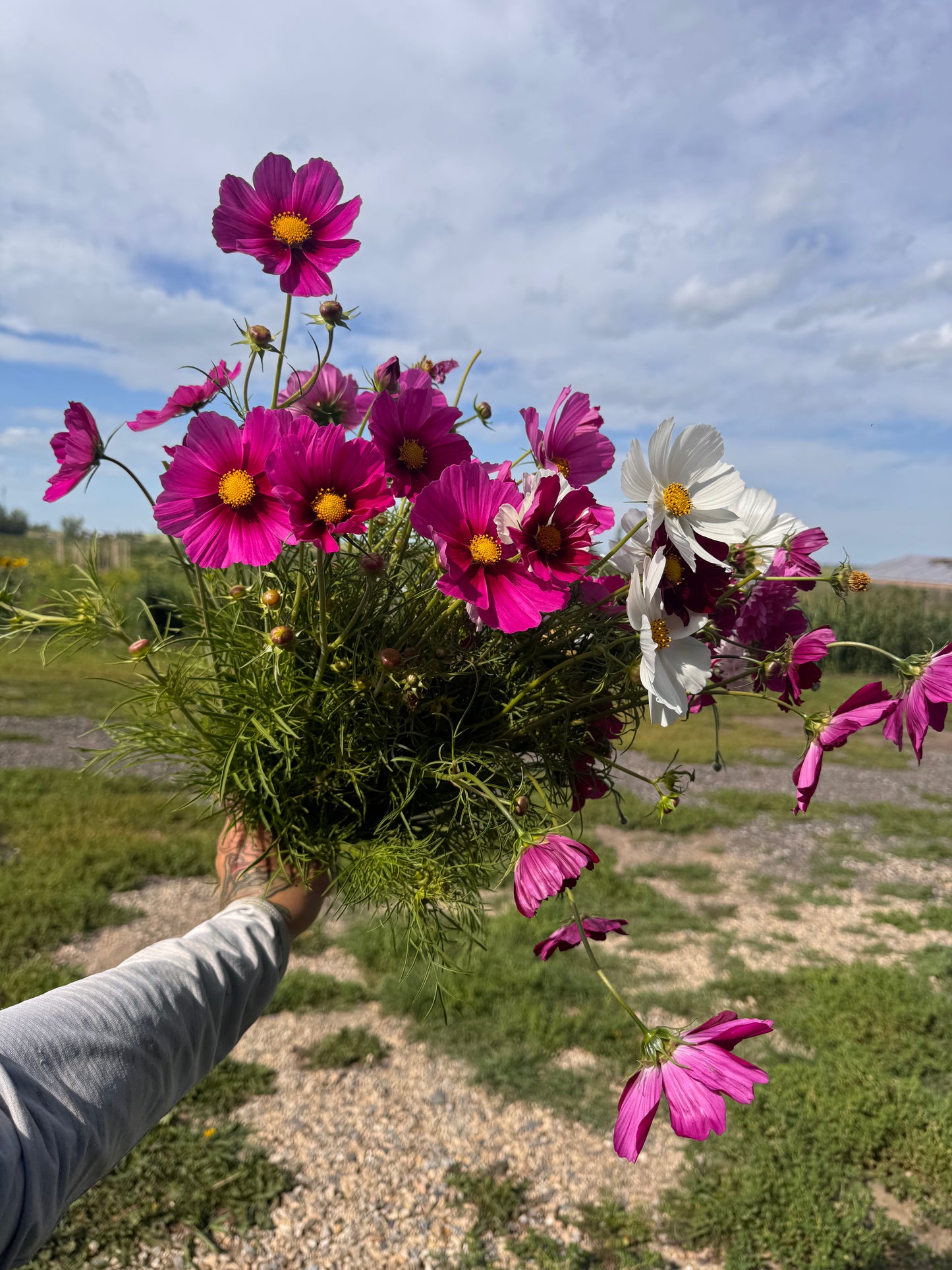 Floral Dyeing, Printing and Bouquet Making Sept 7 | Workshop