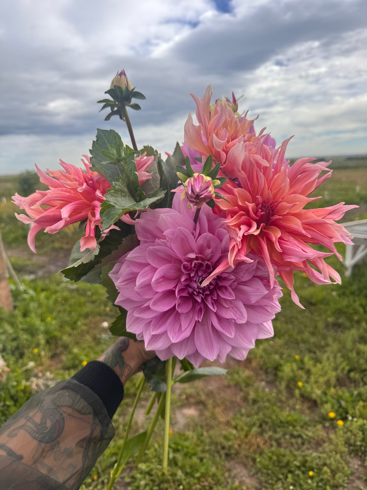 Floral Dyeing, Printing and Bouquet Making Sept 7 | Workshop