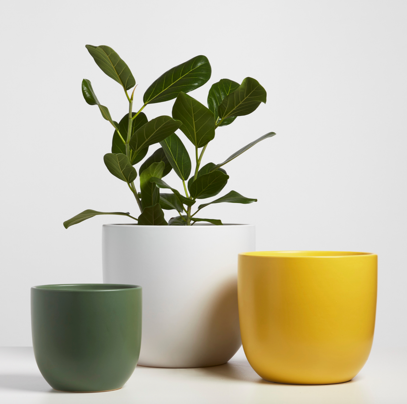 P & P | Contour Ceramic Planter