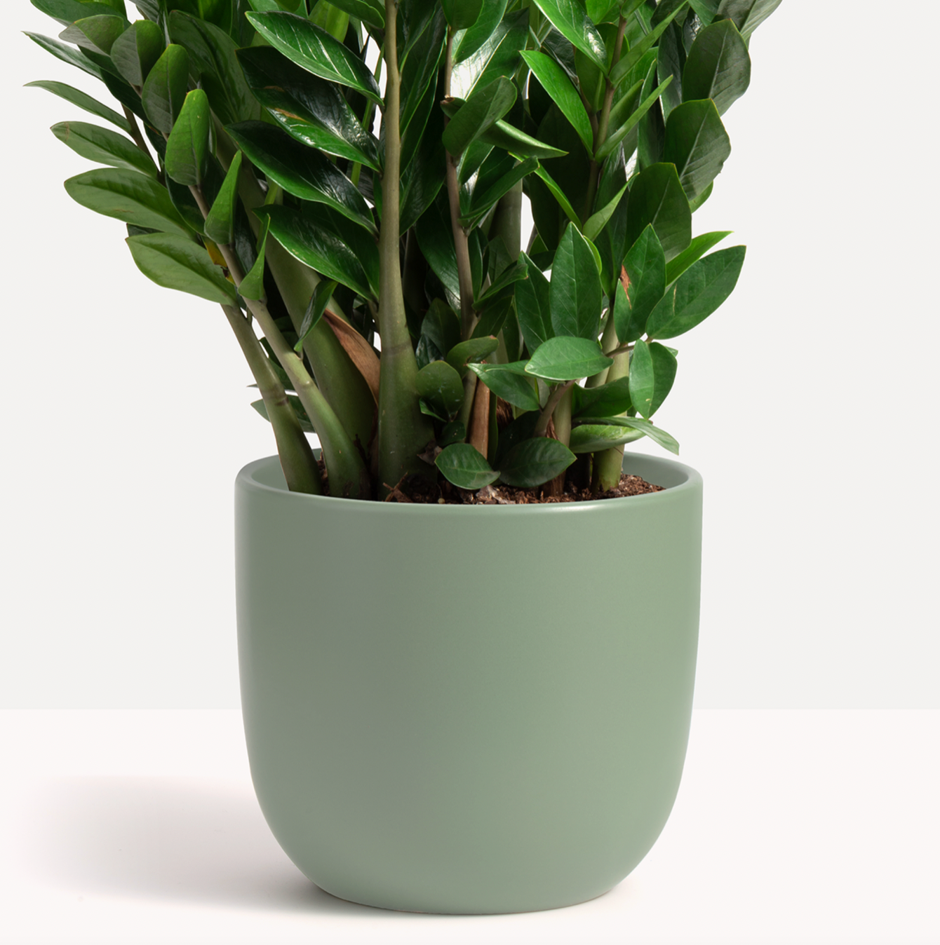 P & P | Contour Ceramic Planter