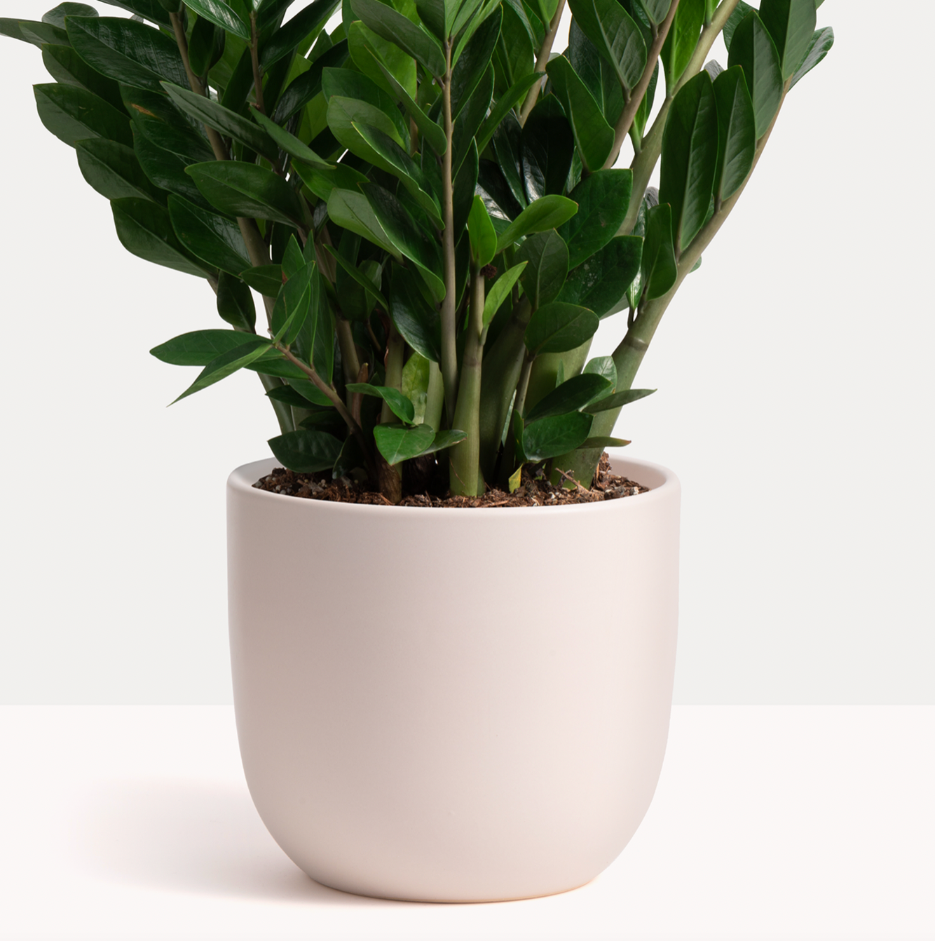 P & P | Contour Ceramic Planter