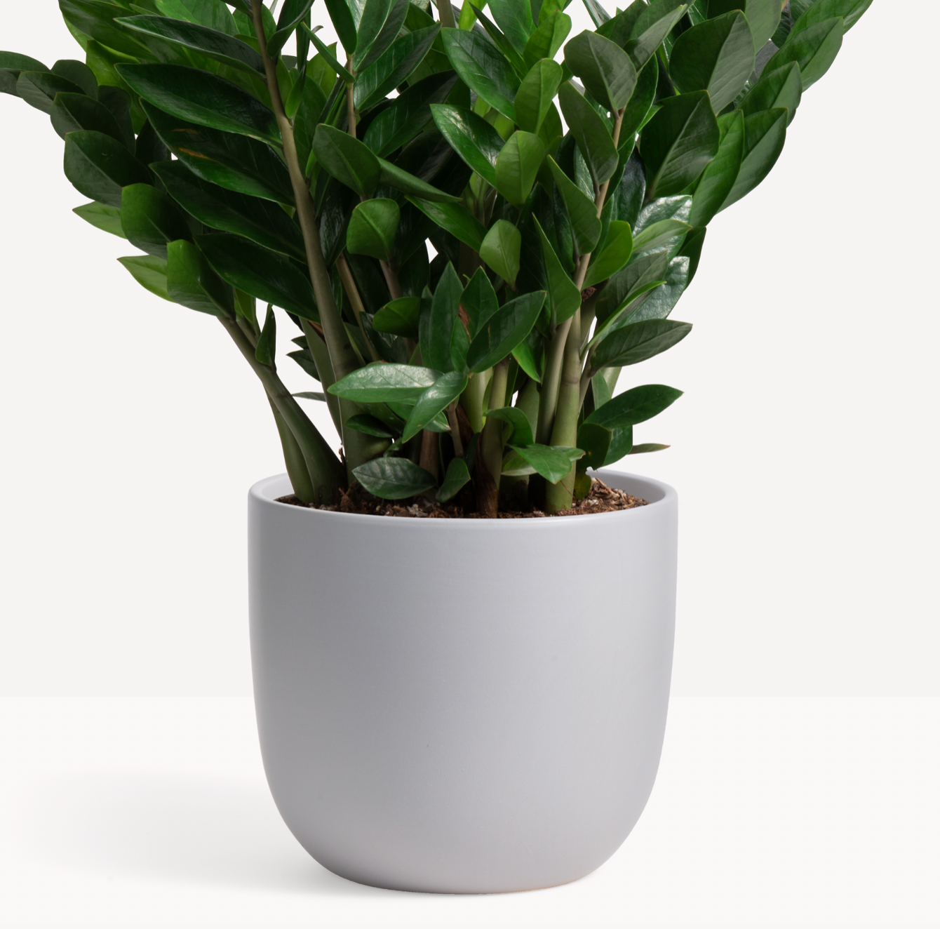 P & P | Contour Ceramic Planter