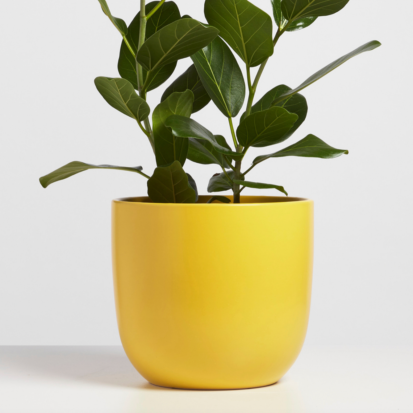 P & P | Contour Ceramic Planter