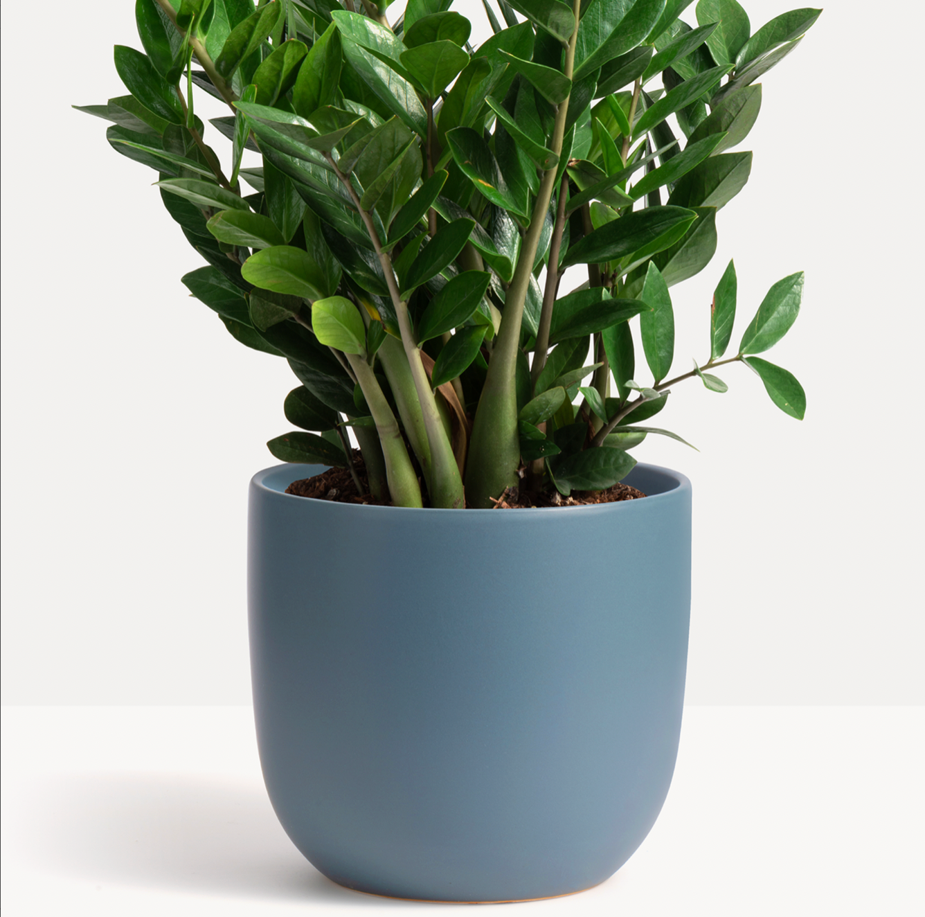 P & P | Contour Ceramic Planter